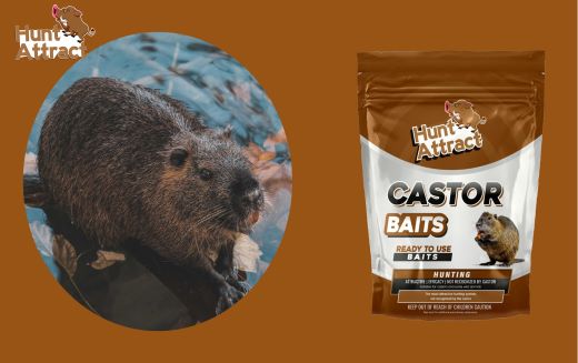 Wie kann man Nutria fangen?