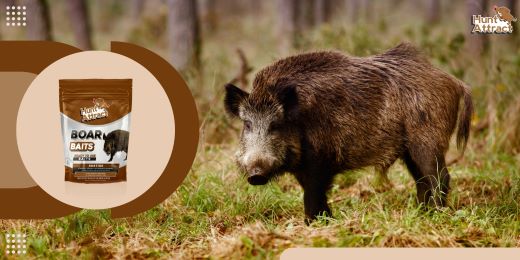 Welche verschiedenen Arten von Lockmitteln für Wildschweine gibt es?