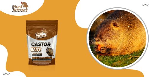 Woher wissen Sie, ob ein Nutria-Lockstoff wirkt?